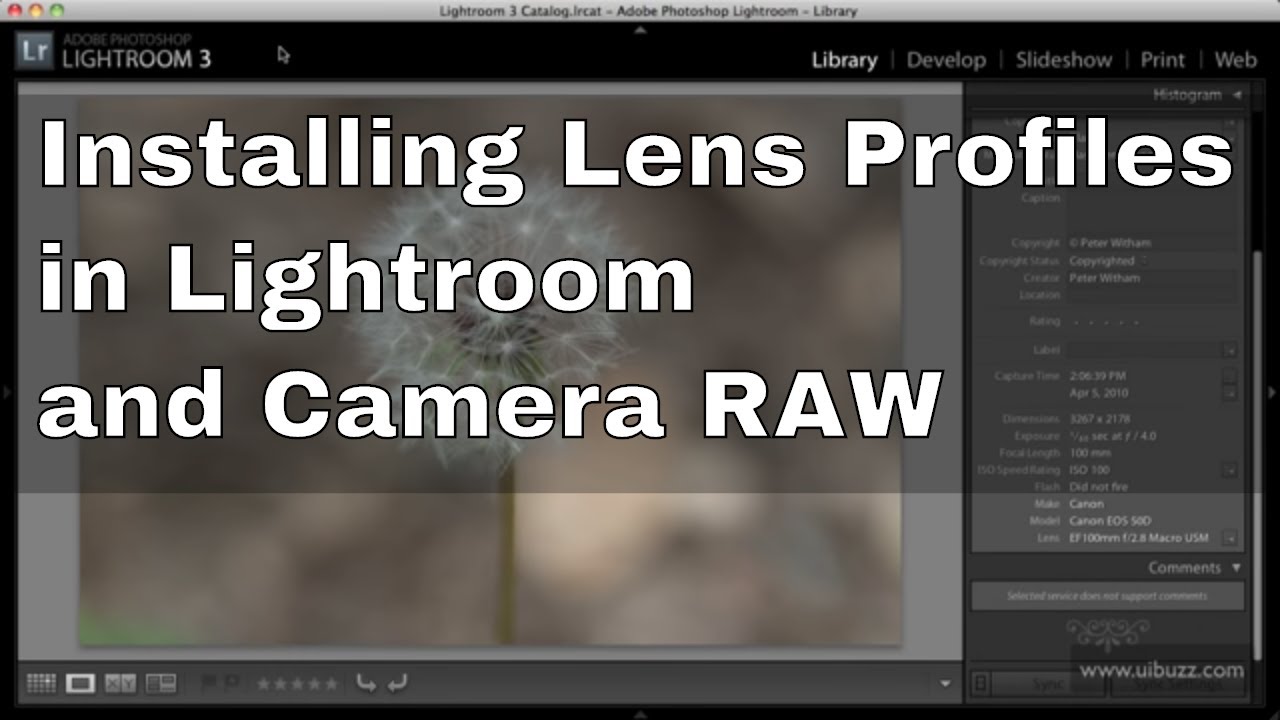 lightroom 4 profiles