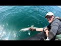 Inflatable boat fishing - shark (Tope) fishing in Cornwall