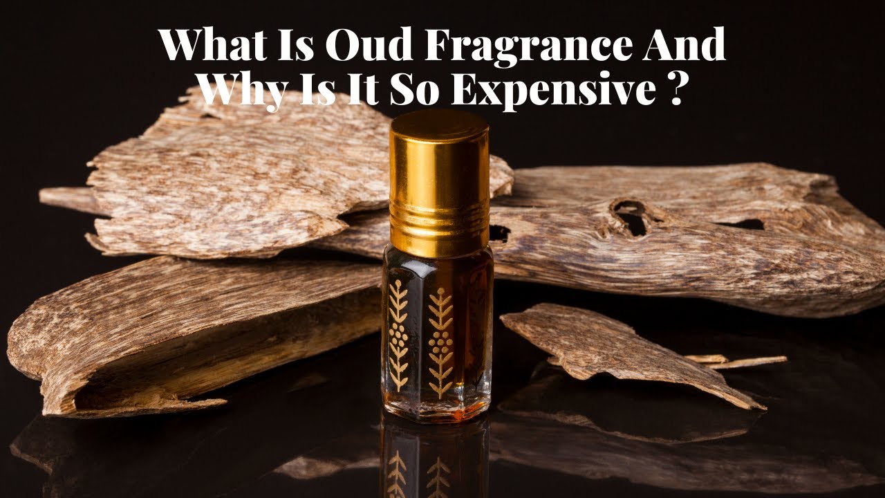 Saudi Arabia and the scent from heaven What Is Oud Fragrance And Why Is It So Expensive