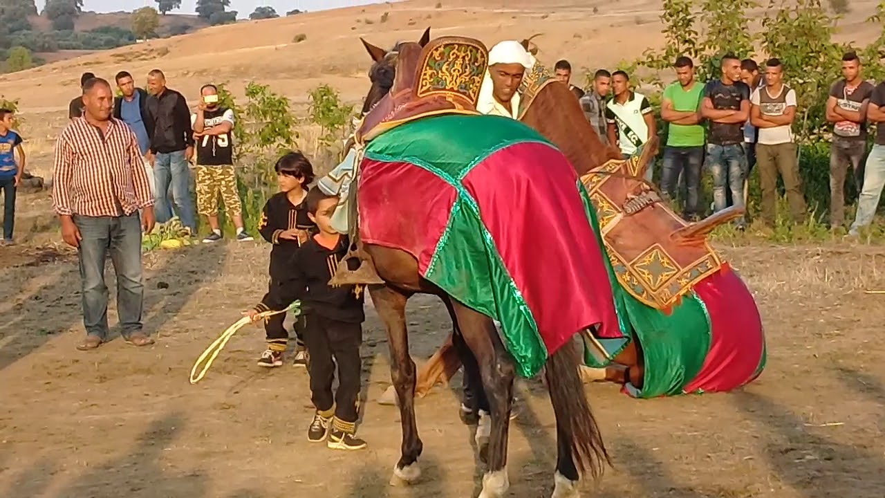 فرسان جندوبة *فرنانة* 4