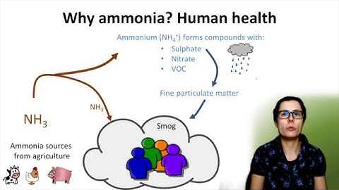 A1 Reducing on-farm ammonia emissions: Overview of ammonia emissions from agriculture