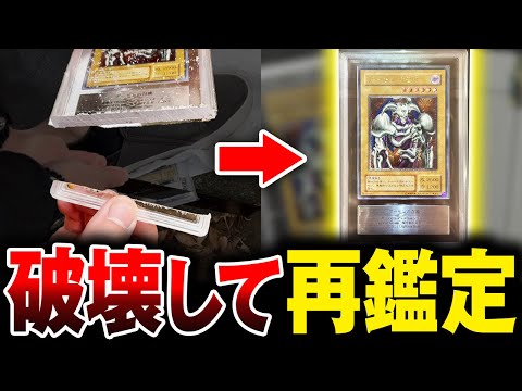遊戯王 ars鑑定品2点 遊戯王 ars鑑定品2点