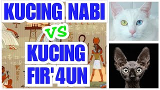 KETIKA KUCING DI TANGAN NABI DAN KUCING DI TANGAN FIR'4UN