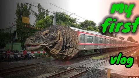 my first vlog viral तीसरी लहर | first vlog | my first vlog || @Active Rahul @Sourav Joshi Vlogs