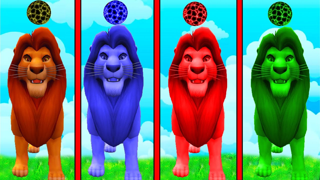 Growing Smallest Black & White Lion Family into Biggest Black & White