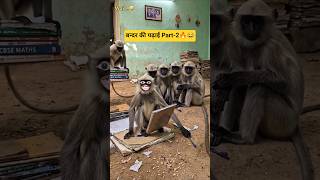 बन्दर की पढ़ाई Part-2🔥😂 #funny #funnyvideos #rockahmad07 #comedyvideos #monkey #shortsfeed