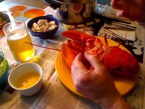 The Great Maine Lobster Experience - YouTube