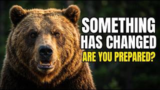 Something Has Changed With Bears This Year.  Most Hikers Don't Know It