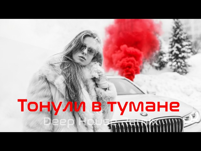 🎧 Тонули в тумане ♕ Deep House Remix  | Vibora Muzik