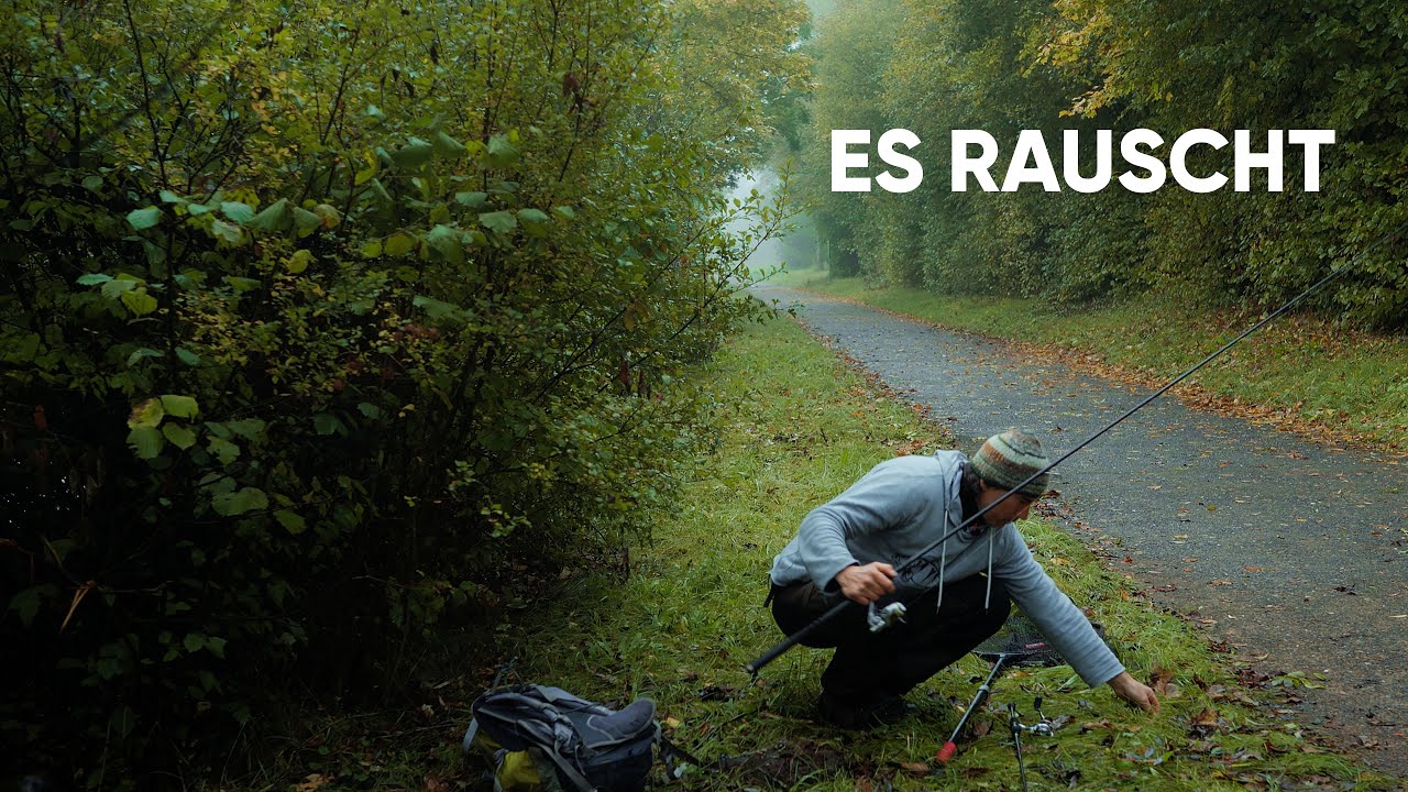 Die Blätter fallen, mit ERFOLG im Herbst auf Barsch und Zander!