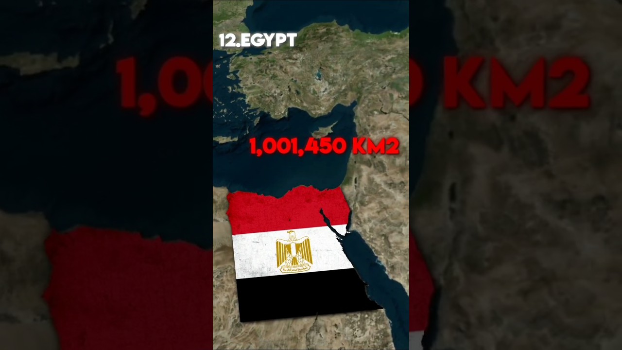 Крупнейшие исламские страны☪️🕋 #ислам #страны #мусульмане #шорты