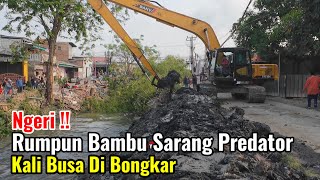 Download Lagu Ngeri‼️Rumpun Bambu Sarang Predator Kali Busa Di Bongkar MP3 Download Lagu Ngeri‼️Rumpun Bambu Sarang Predator Kali Busa Di Bongkar MP3