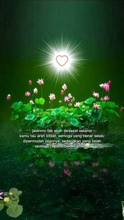 STORY WA PSHT TERBARU - KATA KATA BIJAK BERMOTIVASI