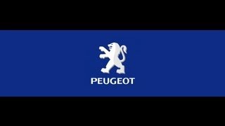 Corporate World - Peugeot Welcomes Maroon 5 to KL - 2012
