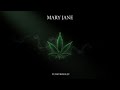 🎵 FunkyBreslev — Mary Jane | 80s Funk Made in Lyon