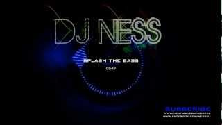 (David Whistle & Alan Walker) DJ Ness & DJ Walkzz - Splash The Bass