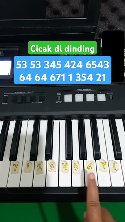 cicak di dinding (piano tutorial) #pianotutorial #tutorial #piano #laguanak #cicakcicakdidinding
