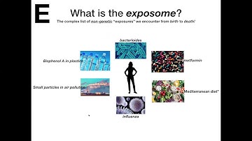 A How-to Guide for Studying the Elusive Exposome in Complex Disease with Large Data