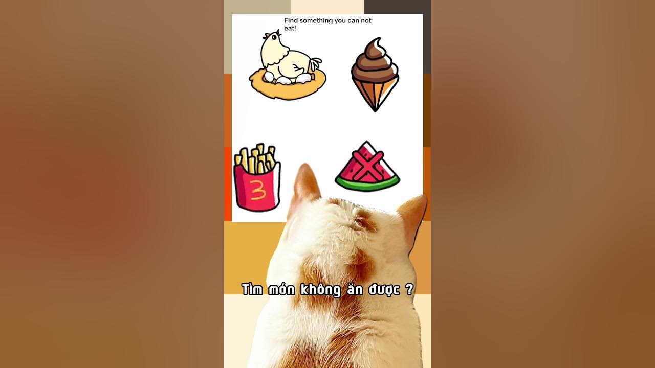 vui-4-find-what-you-can-not-eat-m-o-basa-shorts-cat-youtube