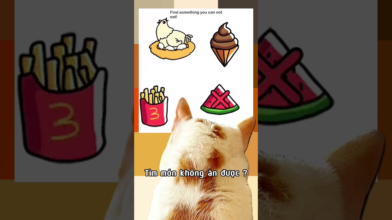 Vui 4 Find What You Can Not Eat M o Basa shorts cat YouTube Vui 4 Find What You Can Not Eat M o Basa shorts cat YouTube