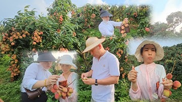 ĐƯA KHÁCH TRUNG QUỐC VỀ THĂM VƯỜN VẢI 30 TẤN  CHỐT LUÔN