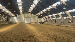 Runder Werk Twe Working Equitation Met Gumball Een Moeilijke Geplaatste Koe Gaat Ook Uit De Kude