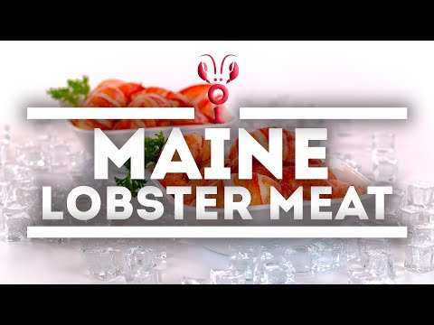 Fresh Lobster Meat