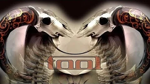 TOOL - FORTY SIX & 2 (LYRICS) @TOOLmusic