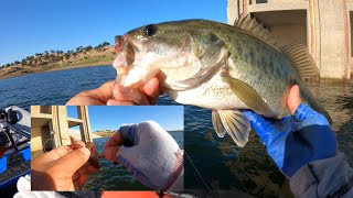 Eastman Lake Catching Bass With Crawdads