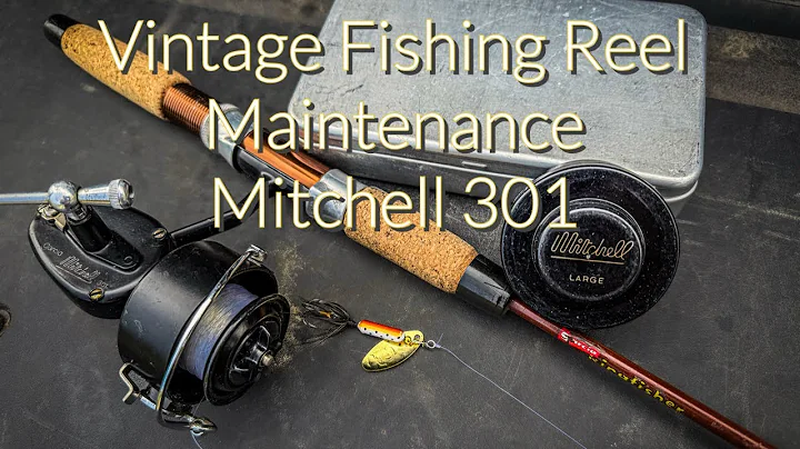 Vintage Fishing Reel Maintenance Mitchell 301