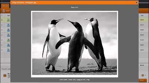 Pharos Uniprint 9 Credit Card Gateway and MobilePrint 2 0