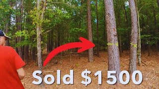 Closing a $1500 dollar tree removal job in person: in person estimate