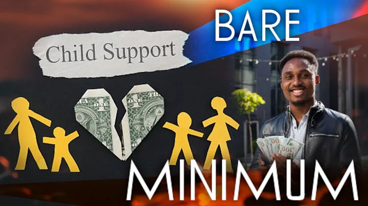 Lawyer Says When You Put Men On Child Support They Will Only Do The Bare Minimum