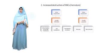 Mechanism and Diagnostic Strategy of Anemia ::: Materi Blok A.6