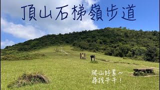 頂山石梯嶺步道｜登山全記錄｜陽明山擎天岡｜台北景點