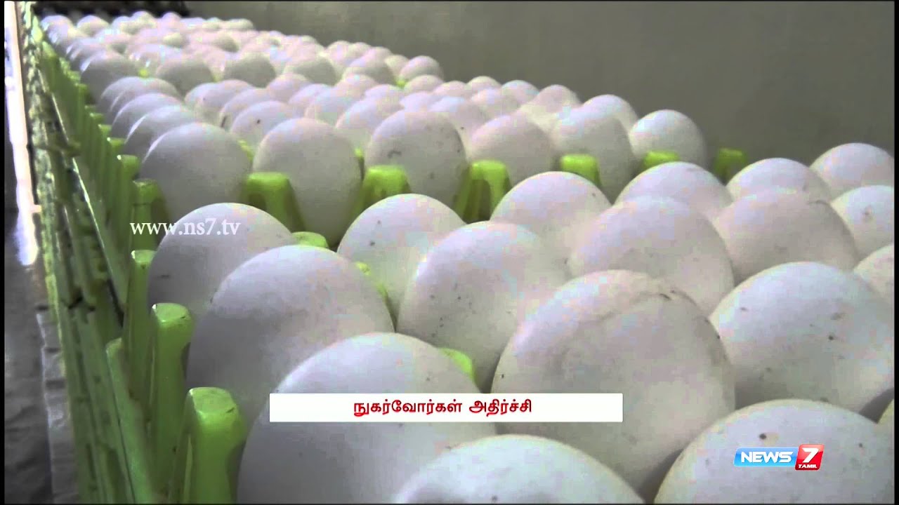 Prices of egg from Namakkal continues to rise Tamil Nadu News7