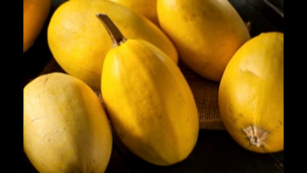 spaghetti squash nutritional values