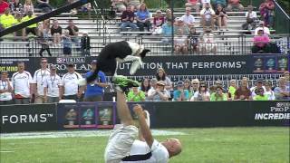 Freestyle Flying Disc 1st Place  2015 Incredible Dog Challenge National Finals Gray Summit, MO