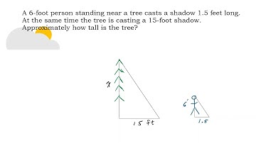 Find the Height of a Tree - Proportions and Scale Factors