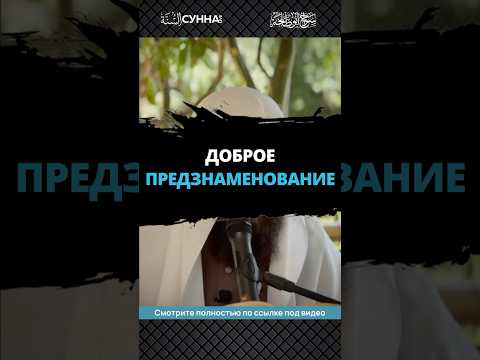 Доброе предзнаменование || Сирадж Абу Тальха