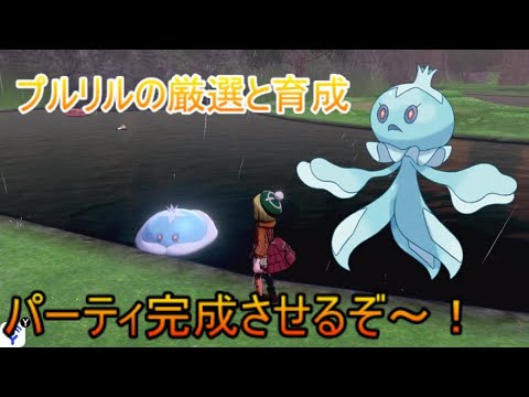 ポケモン剣盾実況配信 15 プルリル厳選からパーティ完成までやる Youtube