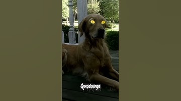 Thumbnail of Goosebumps | Opening Scene Short | Family Channel