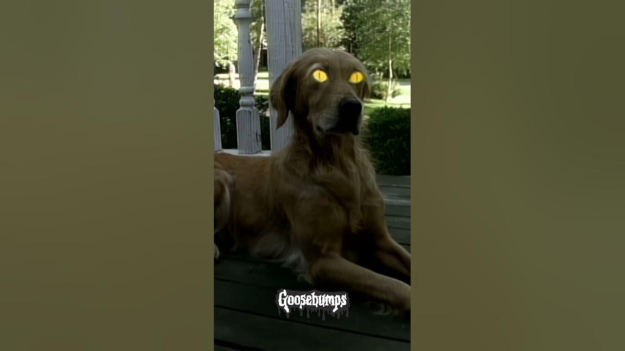 Goosebumps | Opening Scene Short | Family Channel