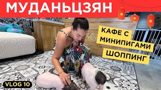 видео: 10. VLOG | МУДАНЬЦЗЯН | Шоппинг и кафе с минипигами | День 2 картинка: 10. VLOG | МУДАНЬЦЗЯН | Шоппинг и кафе с минипигами | День 2