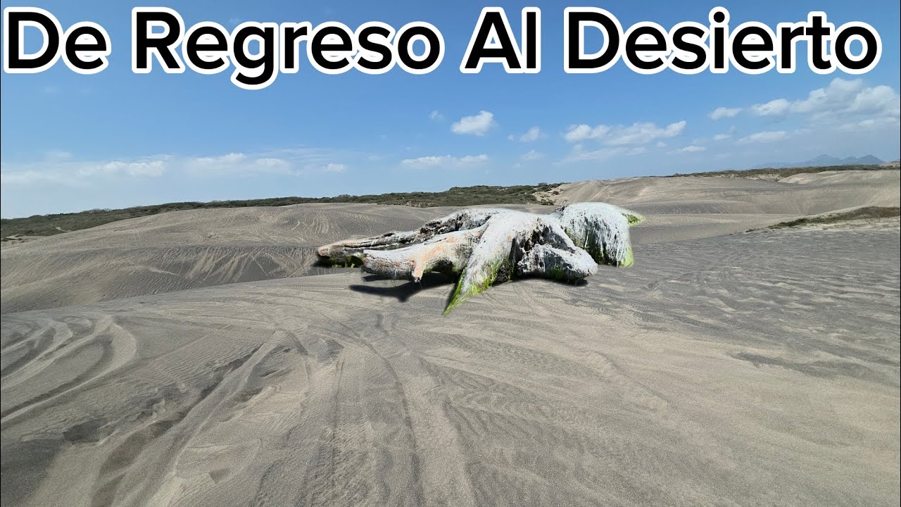 Regrese Al Desierto Donde Me Agarro Migración y  Fui Deportado 