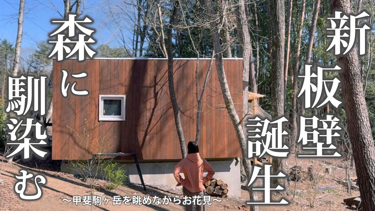 木製壁のDIY向けコンテナハウス 69 コンテナハウスの新しい【板壁完成】八ヶ岳にも桜の季節がやってき