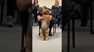 Download Lagu Honden weten het het beste! Bekijk de volledige video hierboven! #dieren #lief MP3