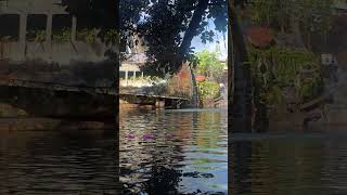 Epic Rope Swing Off Beached MS World Discoverer Shipwreck | Solomon Islands Adventure