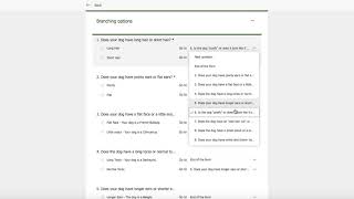 Branching in Microsoft Forms