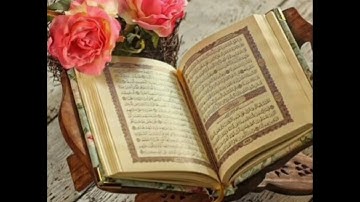 القارئ الصغير/ سورة الشرح/ سورة الضحى/ برواية ورش عن نافع